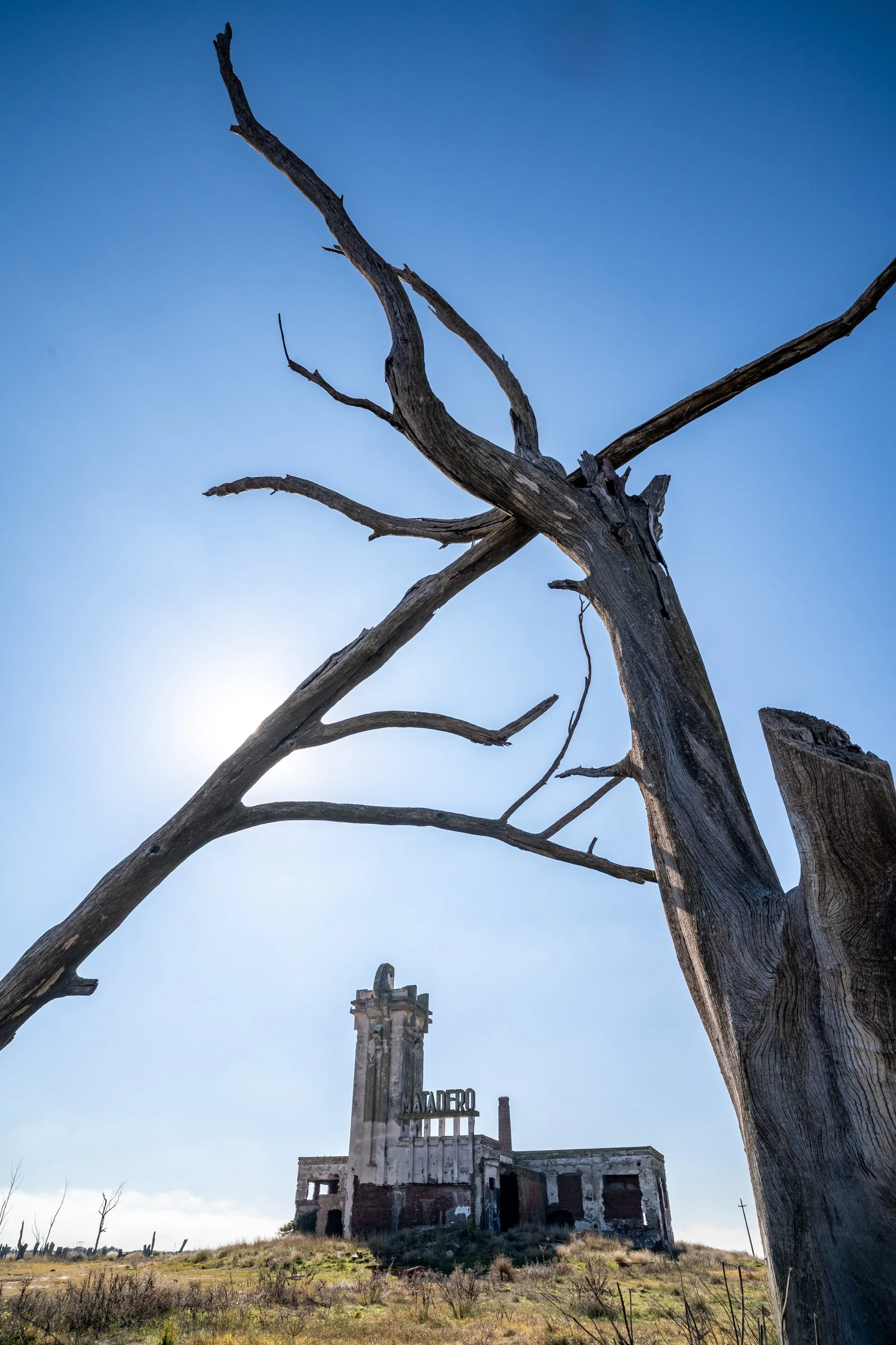 Epecuén- chronique d’une ville noyée -35.JPG