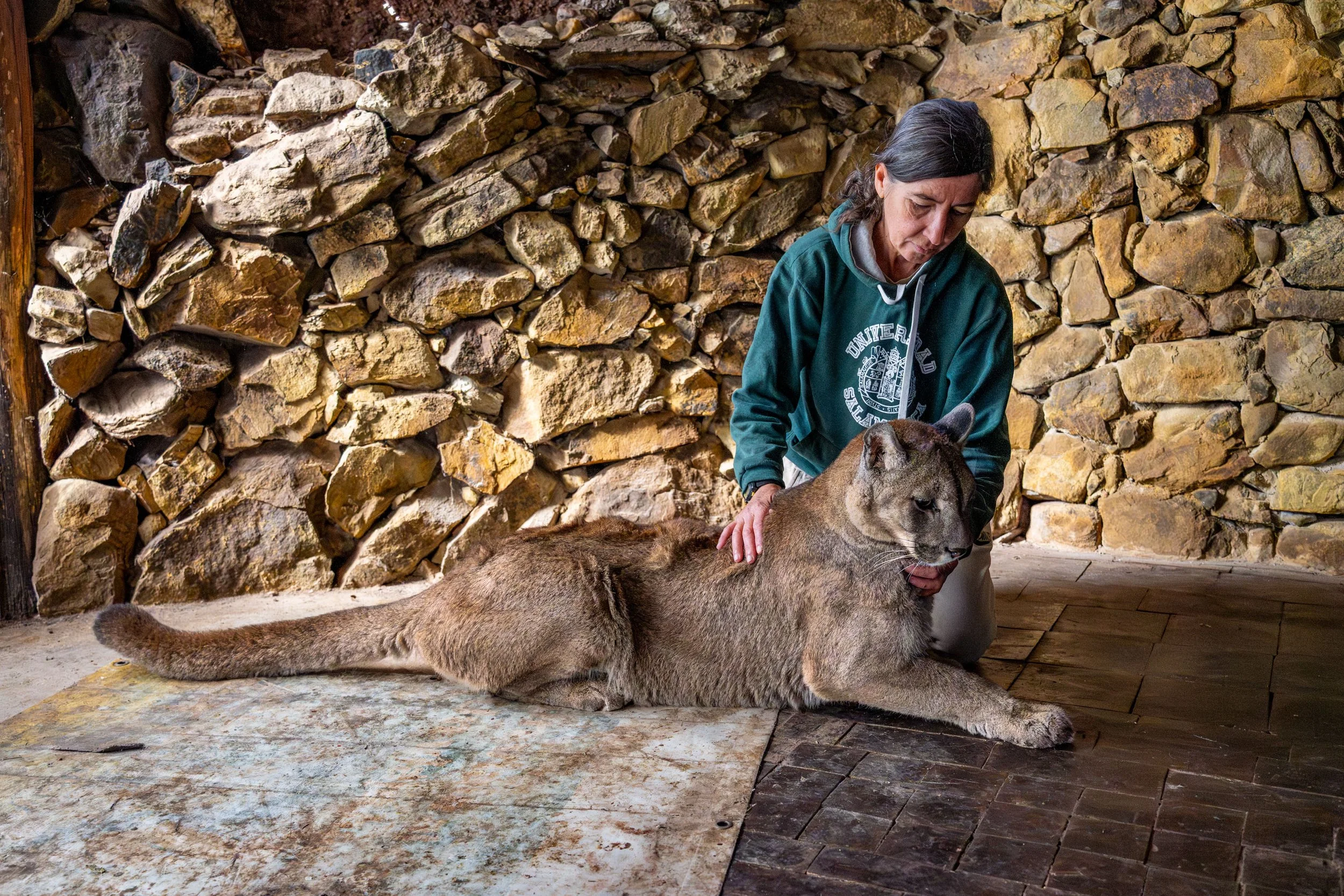 LA GARDIENNE DES PUMAS-1.JPG