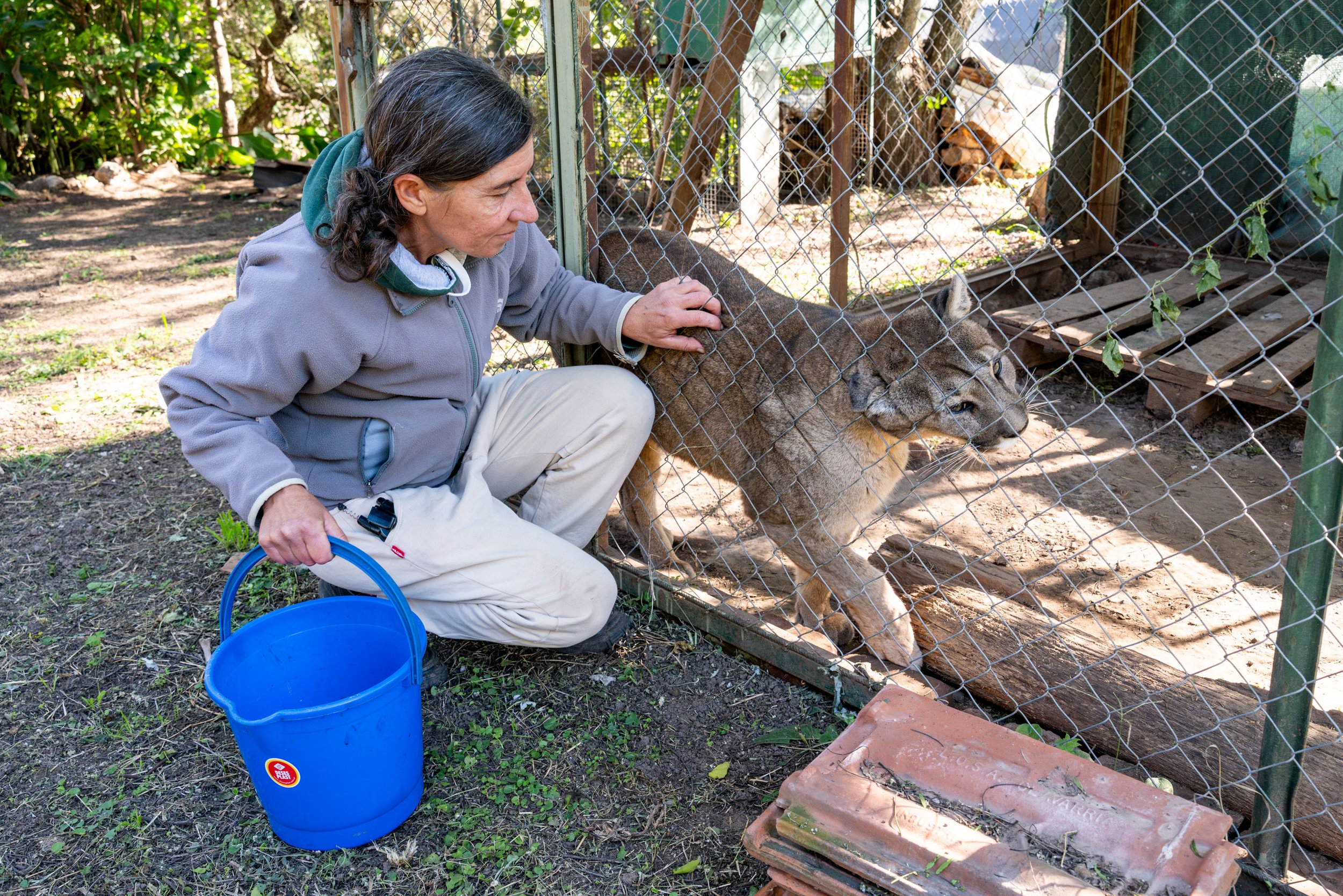 LA GARDIENNE DES PUMAS-9.JPG