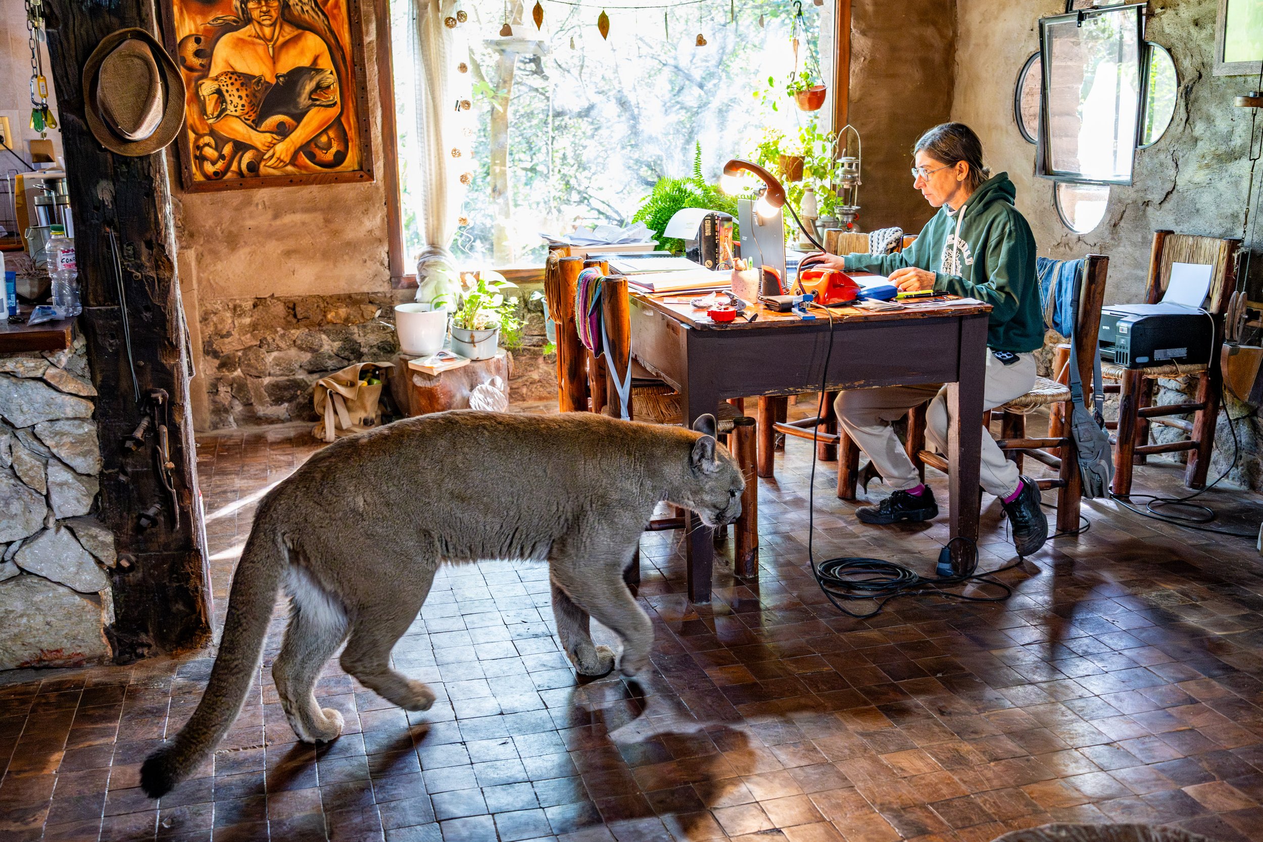 LA GARDIENNE DES PUMAS-22.JPG