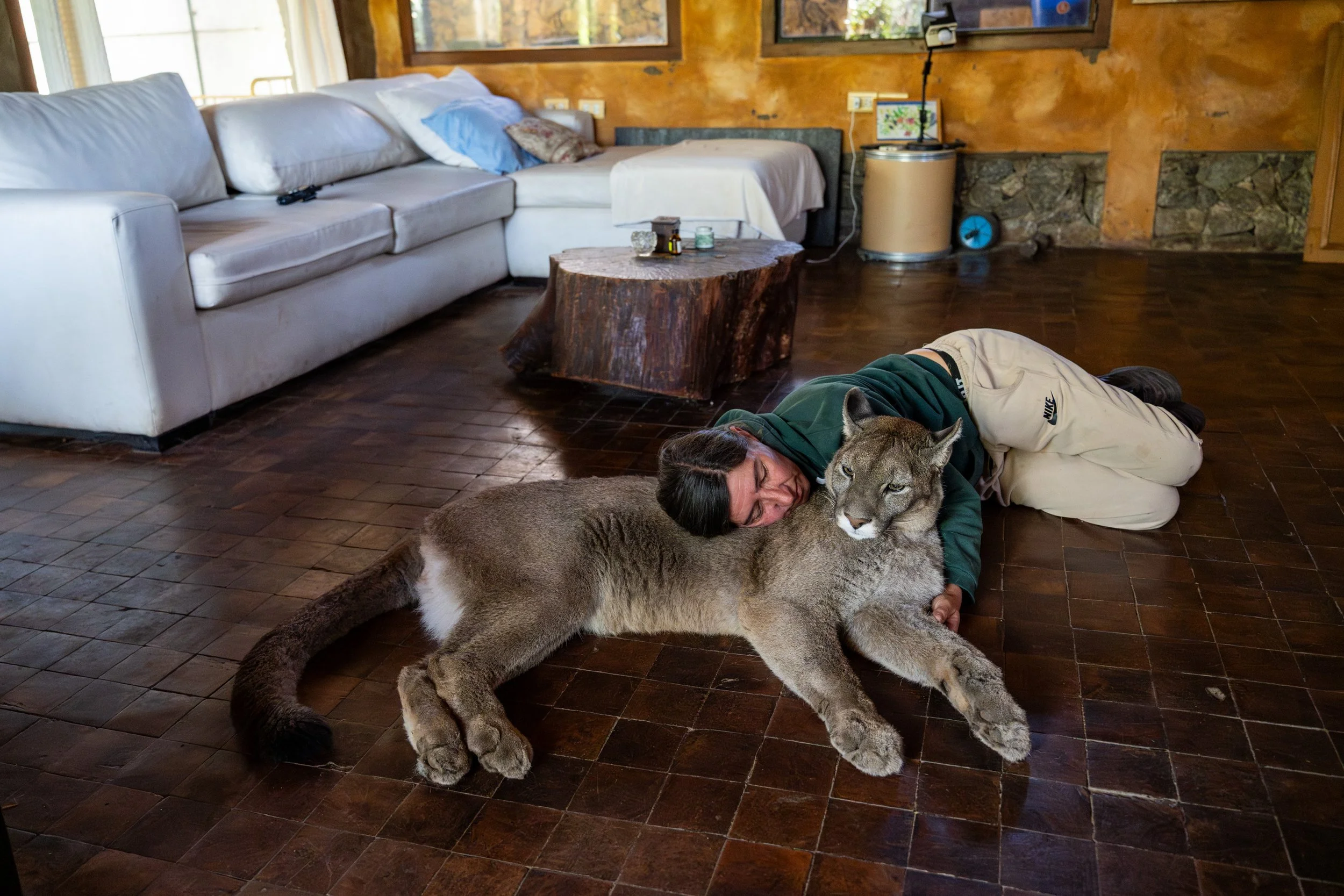LA GARDIENNE DES PUMAS-23.JPG