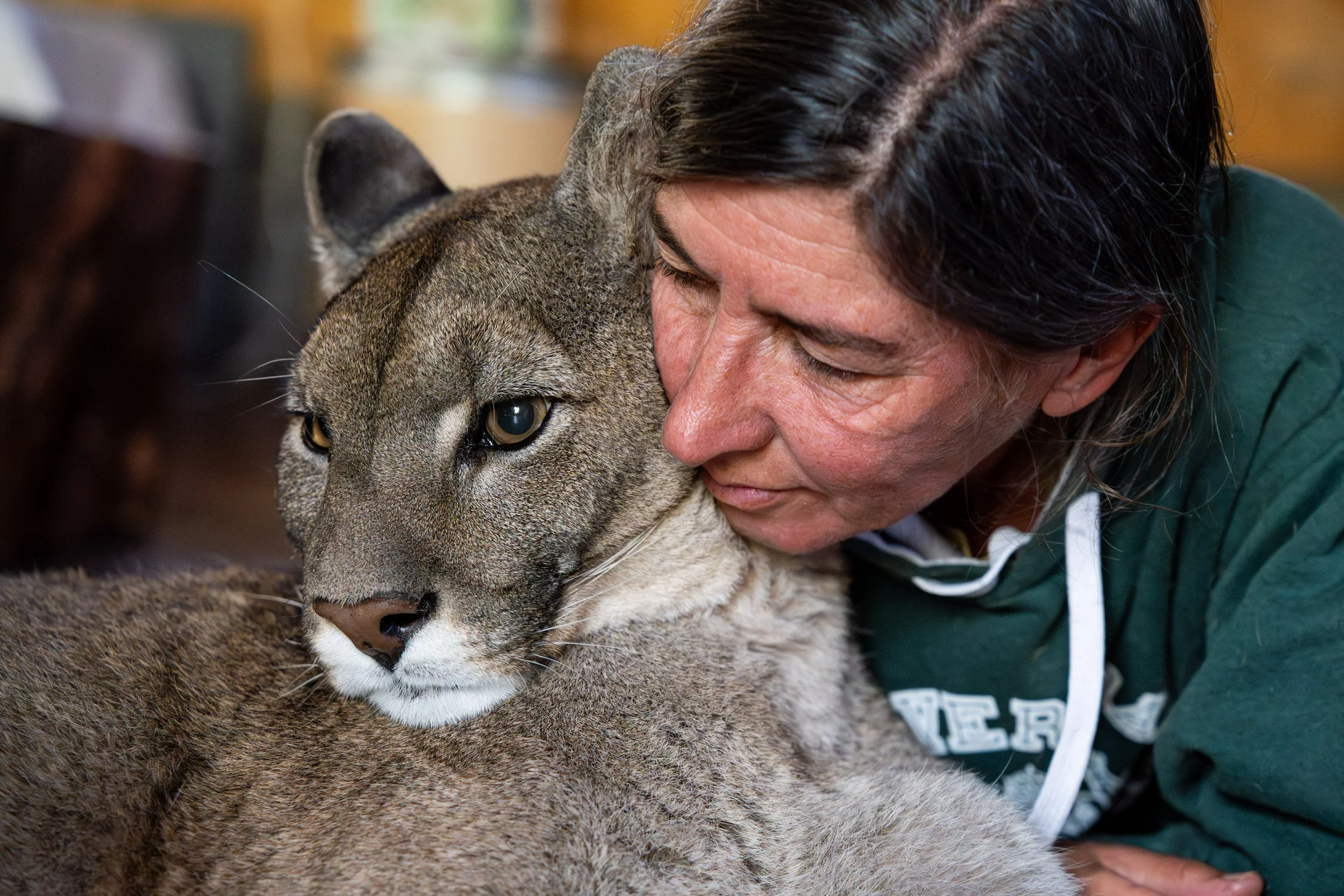 LA GARDIENNE DES PUMAS-24.JPG