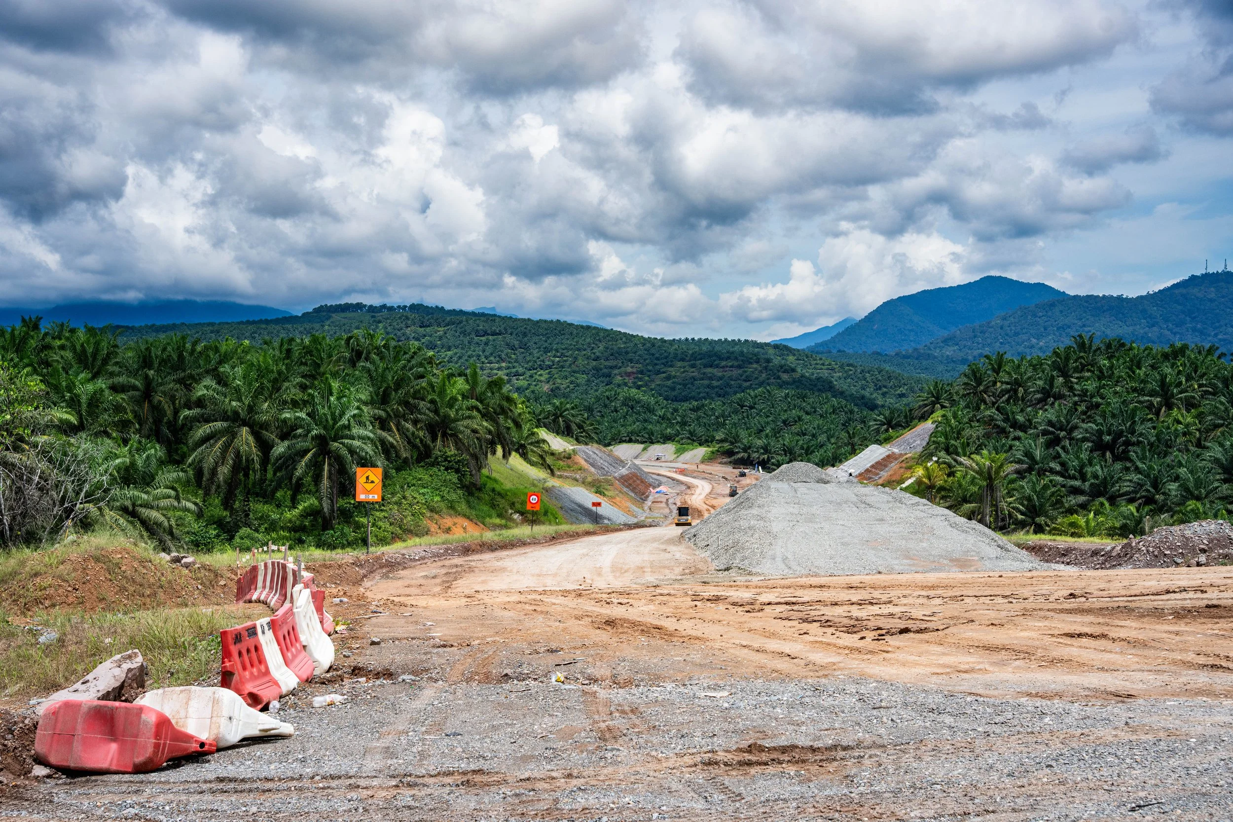 BORNEO - ORANG OUTAN - 23.jpg