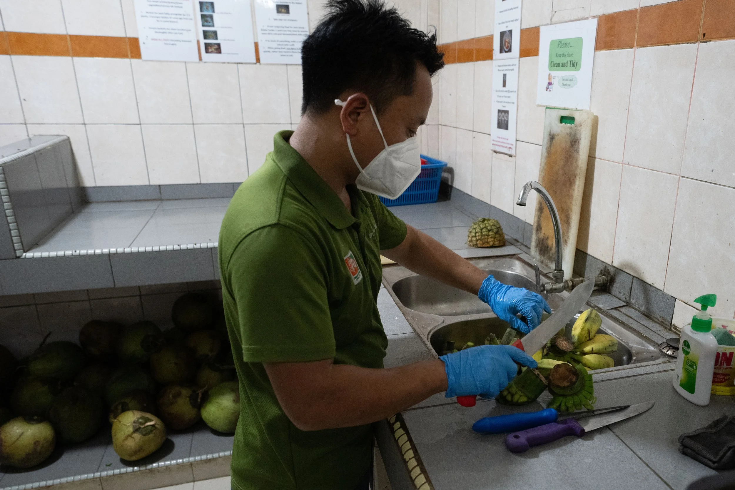BORNEO - ORANG OUTAN -7.jpg