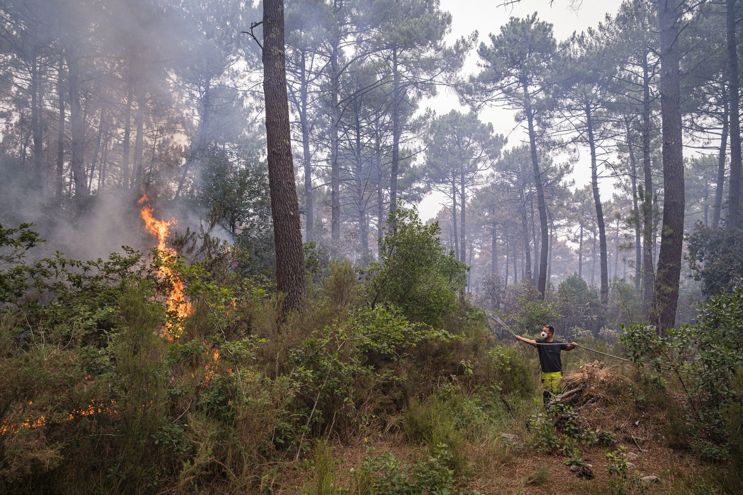 FRANCE - POMPIERS - INCENDIE GIRONDE - 26 JUILLET 2026-1.jpg