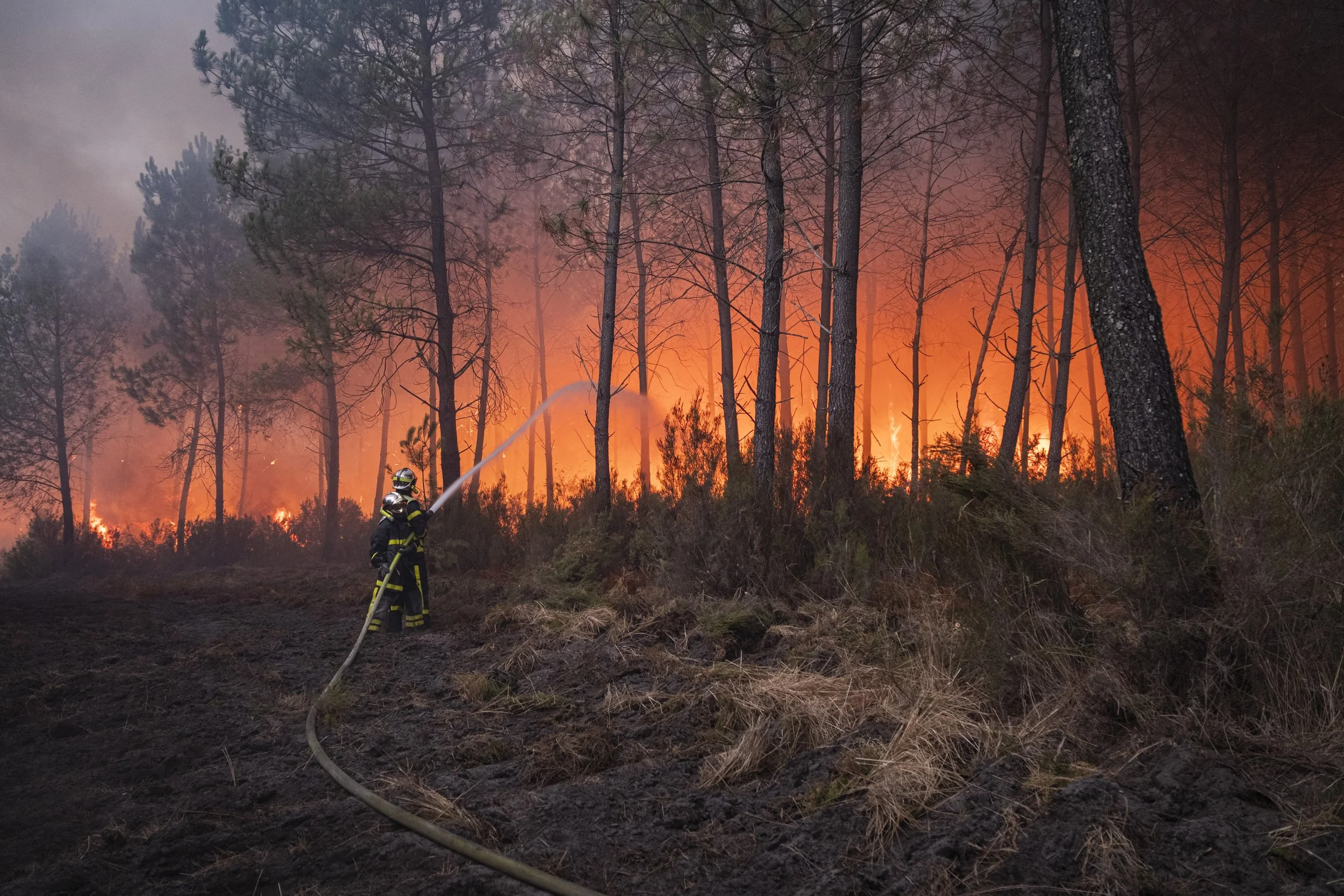 FRANCE - POMPIERS - INCENDIE GIRONDE - 26 JUILLET 2026-6.jpg