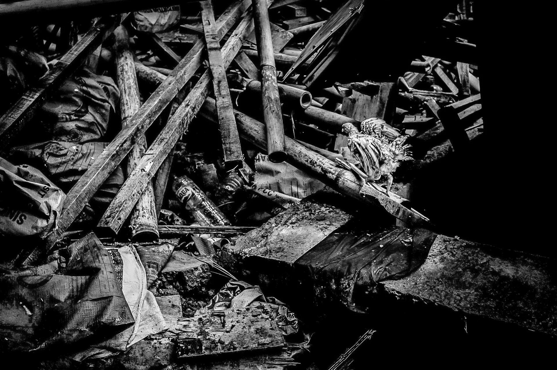 sthomas-canggu-builders-07.jpg