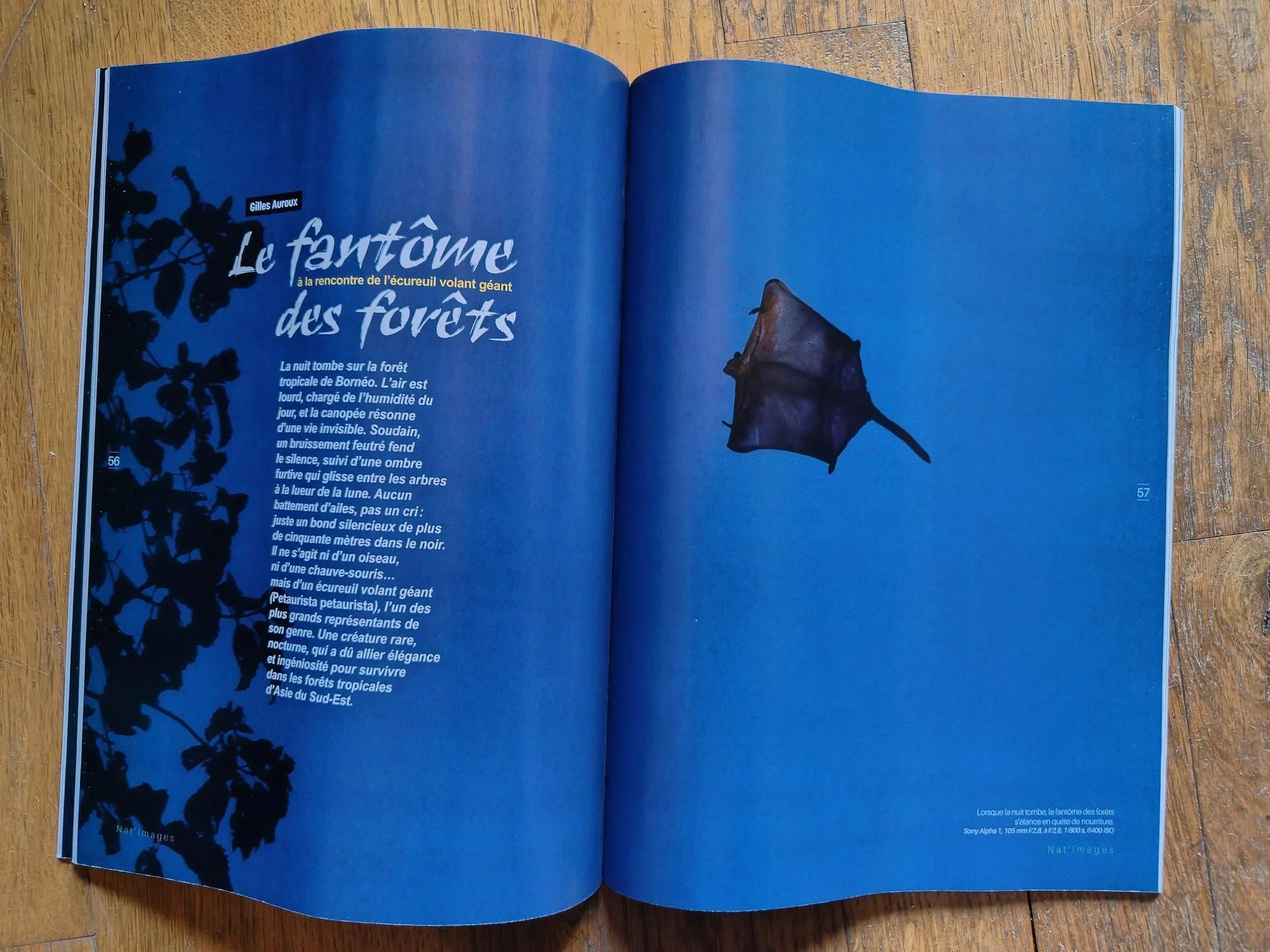 publication - Gilles Auroux - NatImages - avril 2026.jpg