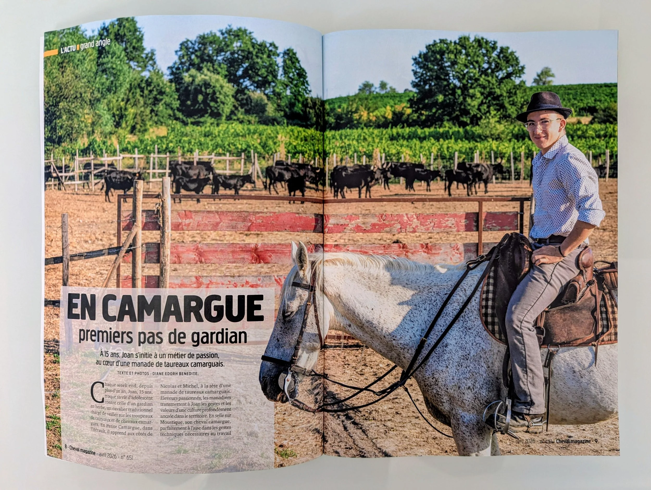 publication - Diane Edorh - Cheval mag - mars 2026.jpg