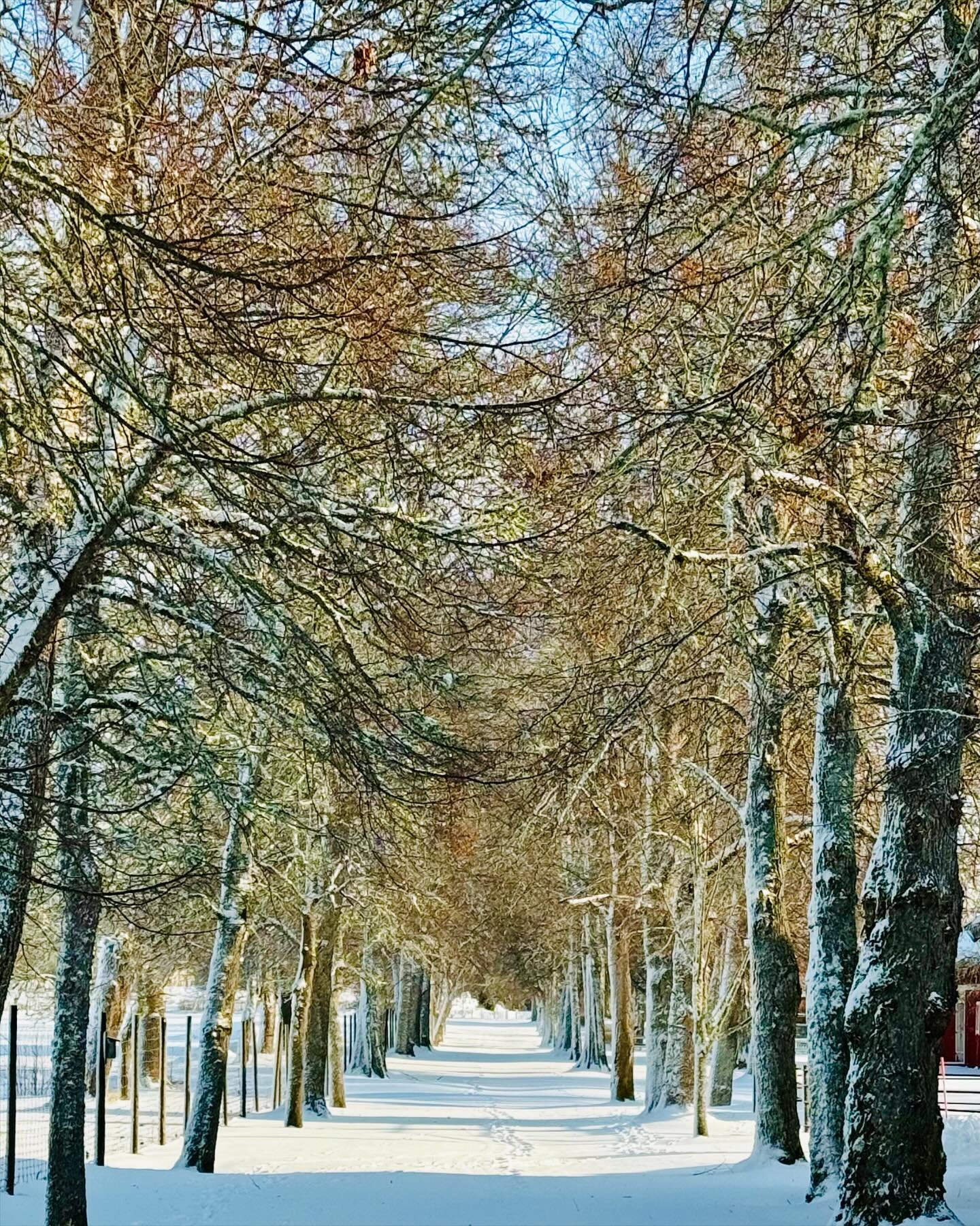 Trevlig helg fr&aring;n Harg i vinterskrud ❄️ ⛄️