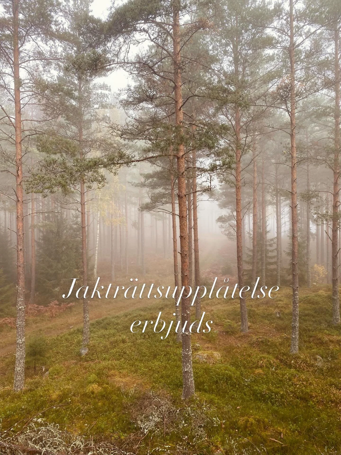 Jaktr&auml;tt p&aring; ca 1 200 ha uppl&aring;ts

Vi erbjuder m&ouml;jlighet att teckna avtal om jaktr&auml;tt p&aring; ett sammanh&auml;ngande omr&aring;de med 
skogsmark, &aring;ker och v&aring;tmarker. God tillg&aring;ng p&aring; &auml;lg, r&ari