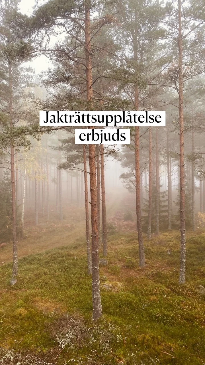 Jakträttupplåtelse erbjuds