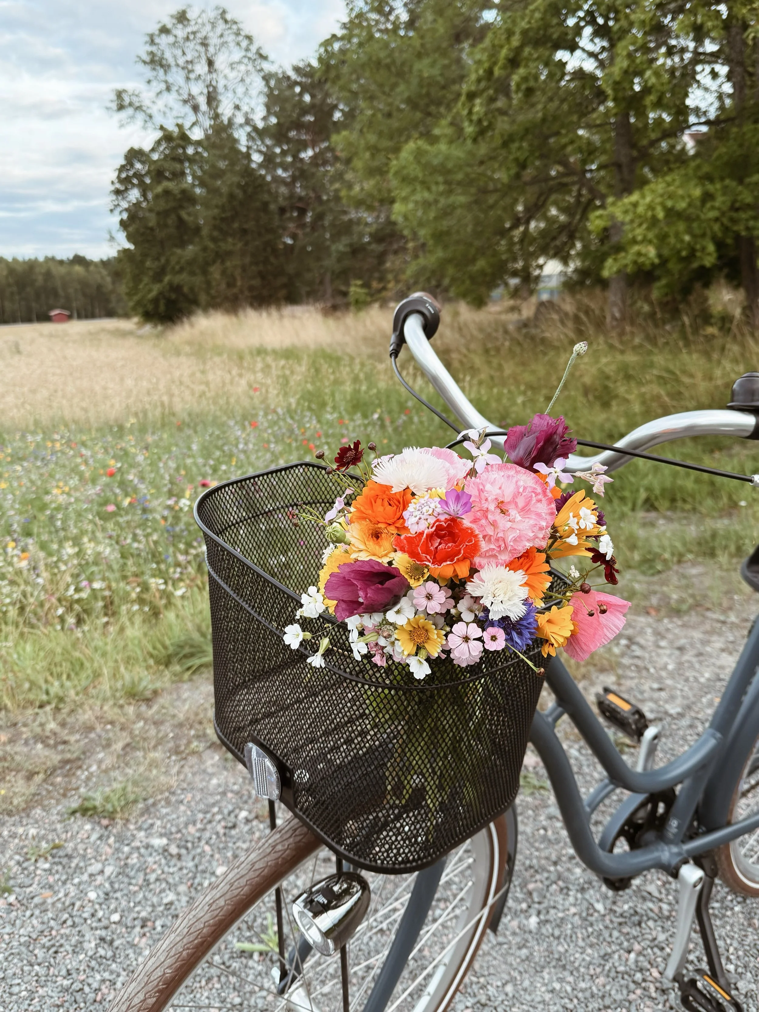 Missa inte att plocka en vacker bukett till f&ouml;rm&aring;n f&ouml;r @barncancerfonden , vi har s&aring;tt b&aring;de &auml;ngsblommor och solrosor (som inte slagit ut riktigt &auml;nnu) f&ouml;r sj&auml;lvplock. Swisha sedan valfritt belopp med hj