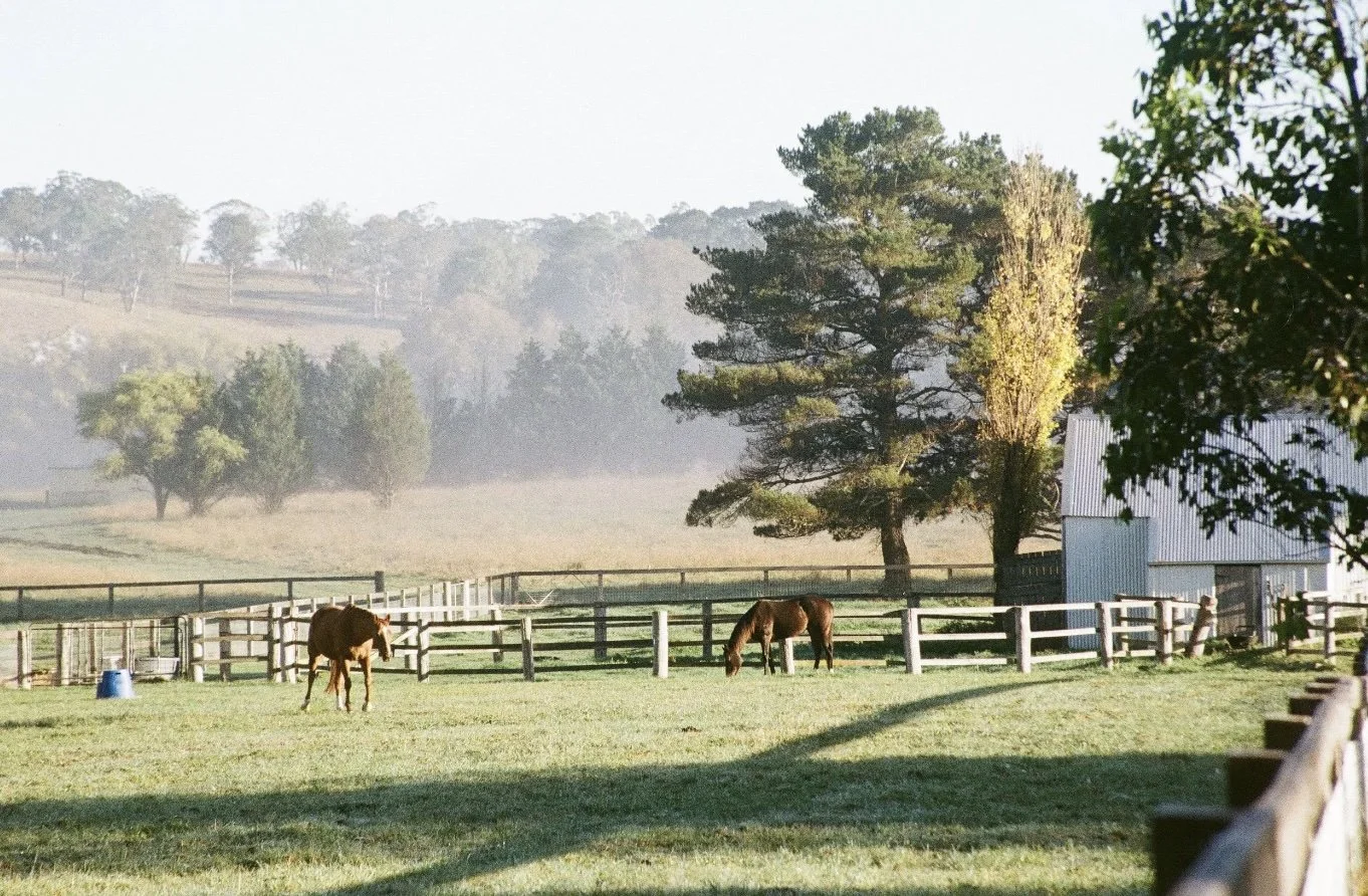 Southern Highlands.jpg