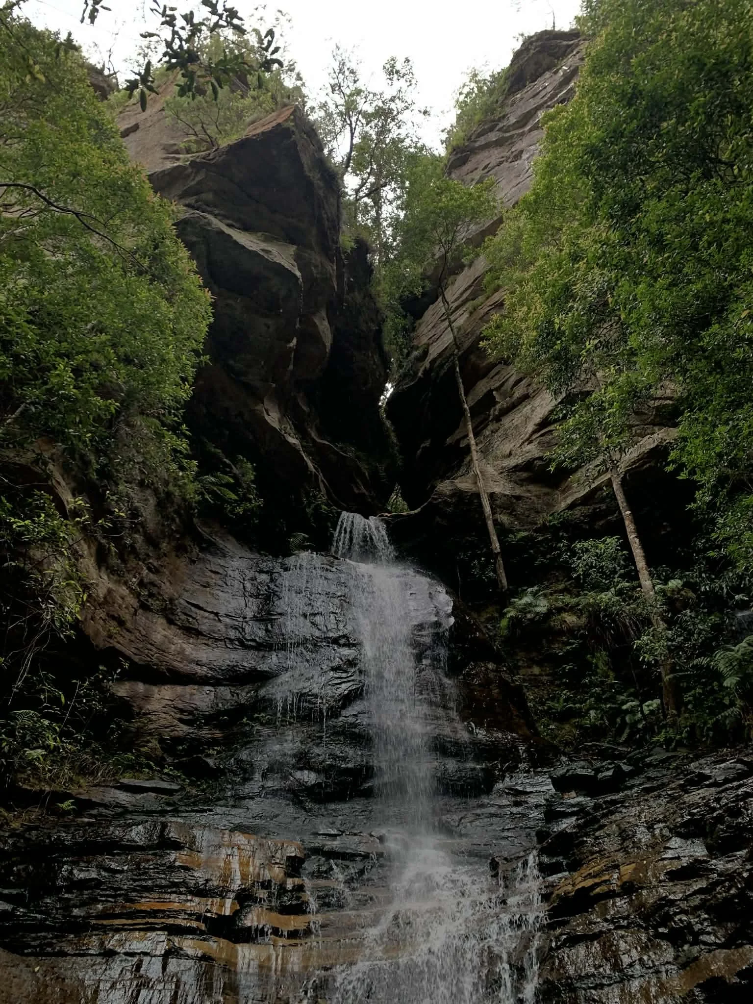 Refreshing waterfall cascading down rocky canyon walls surrounded by dense green rainforest in Blue Mountains – Medium grade rewarding challenge hike
