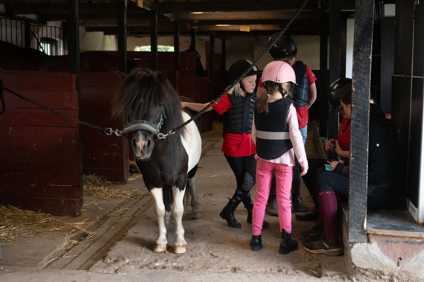 Frazze Lindebolarna shetlandsponny