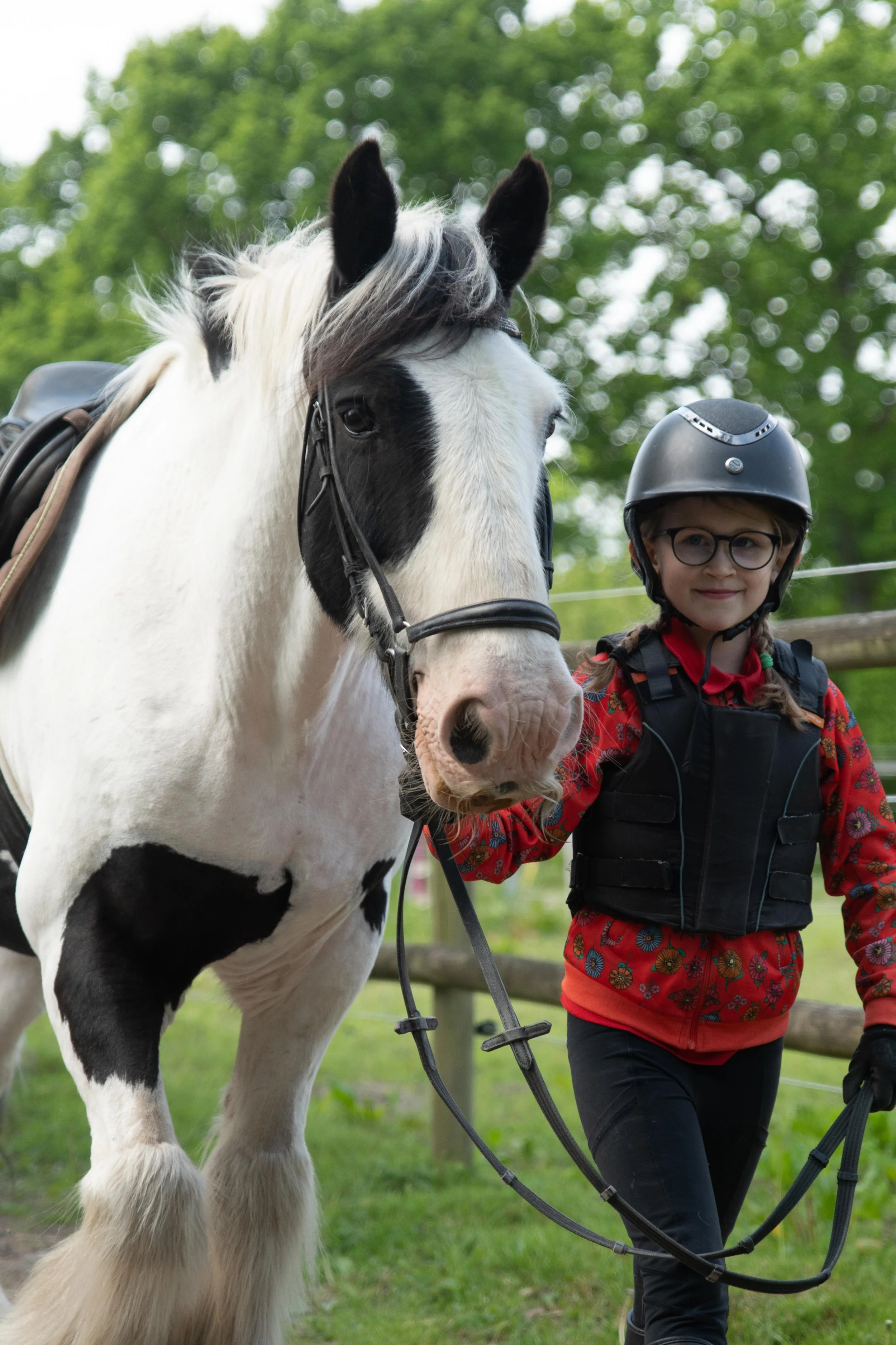 Apache Surprise Lindebolarna