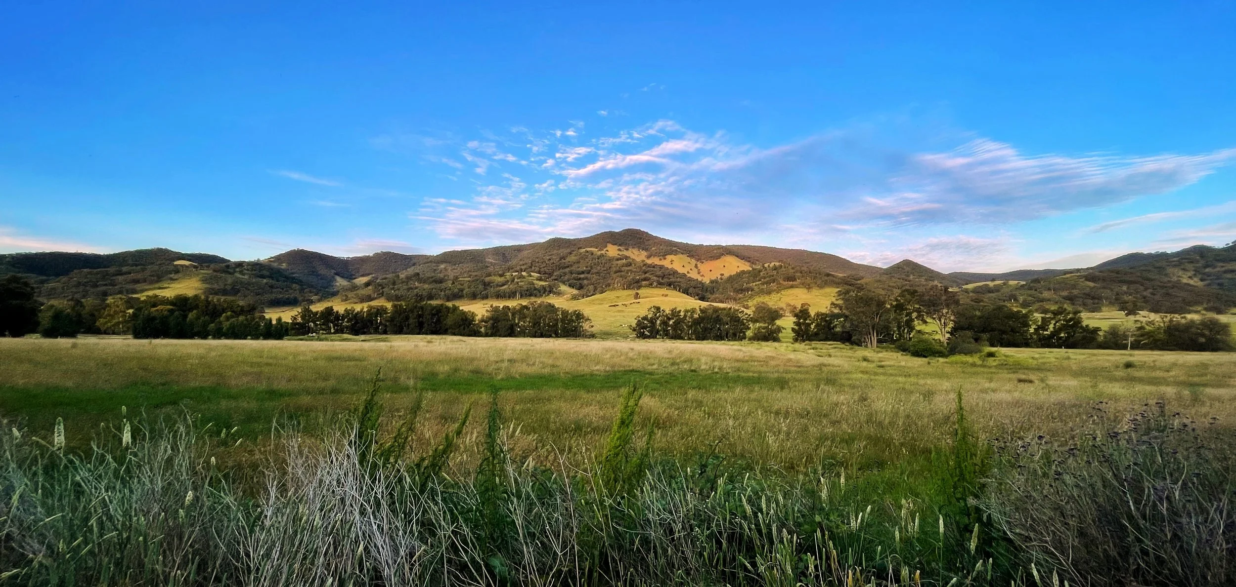 About Acreage Coffee, Mudgee — Acreage Coffee