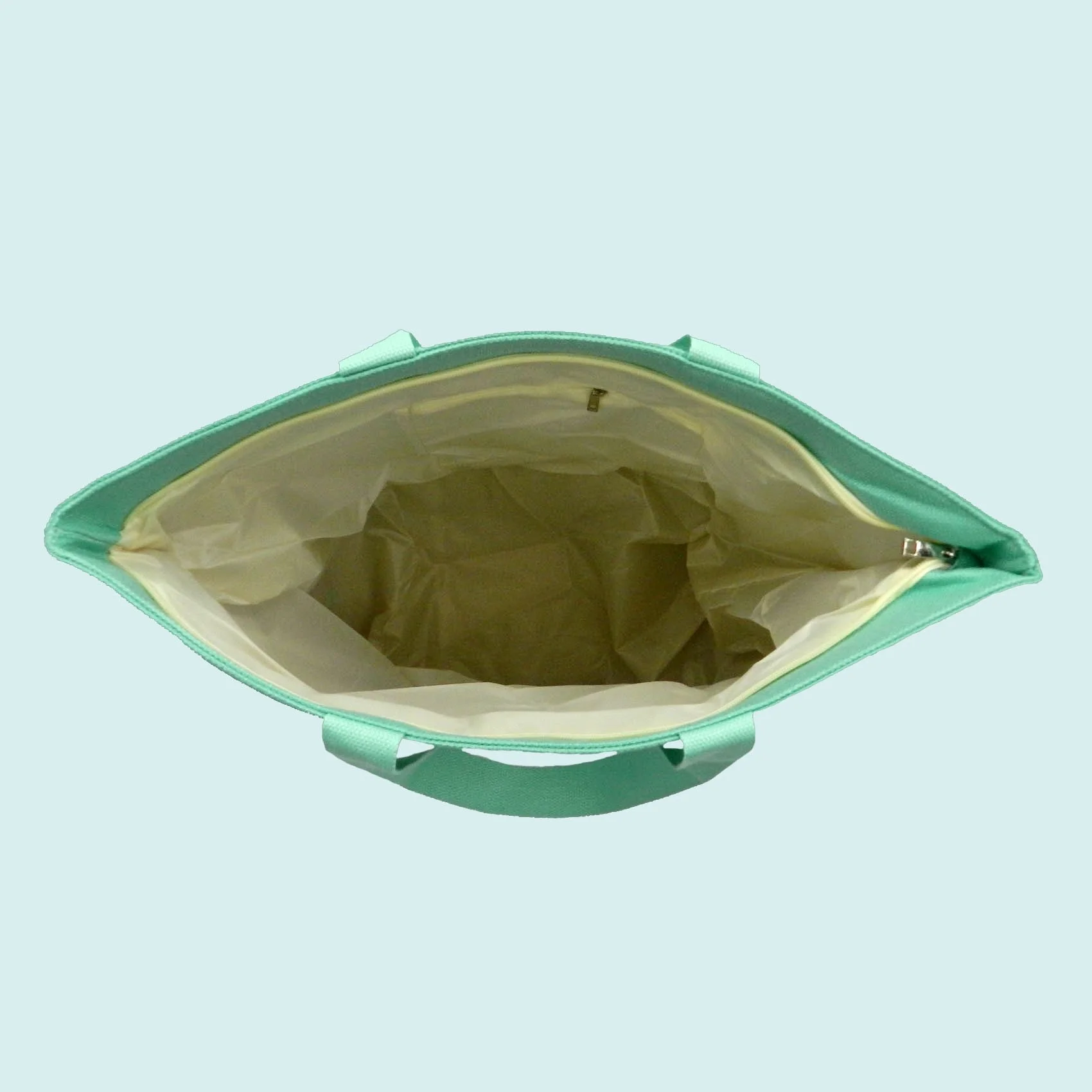 SAC008b.jpg