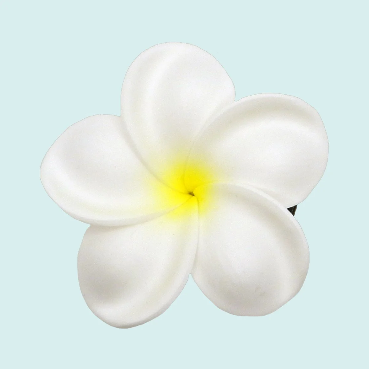PIN026 blanc 17€.JPG
