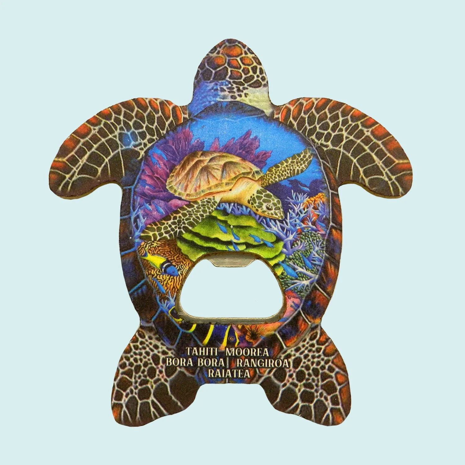 Décapsuleur aimanté tortue marron || CUM187