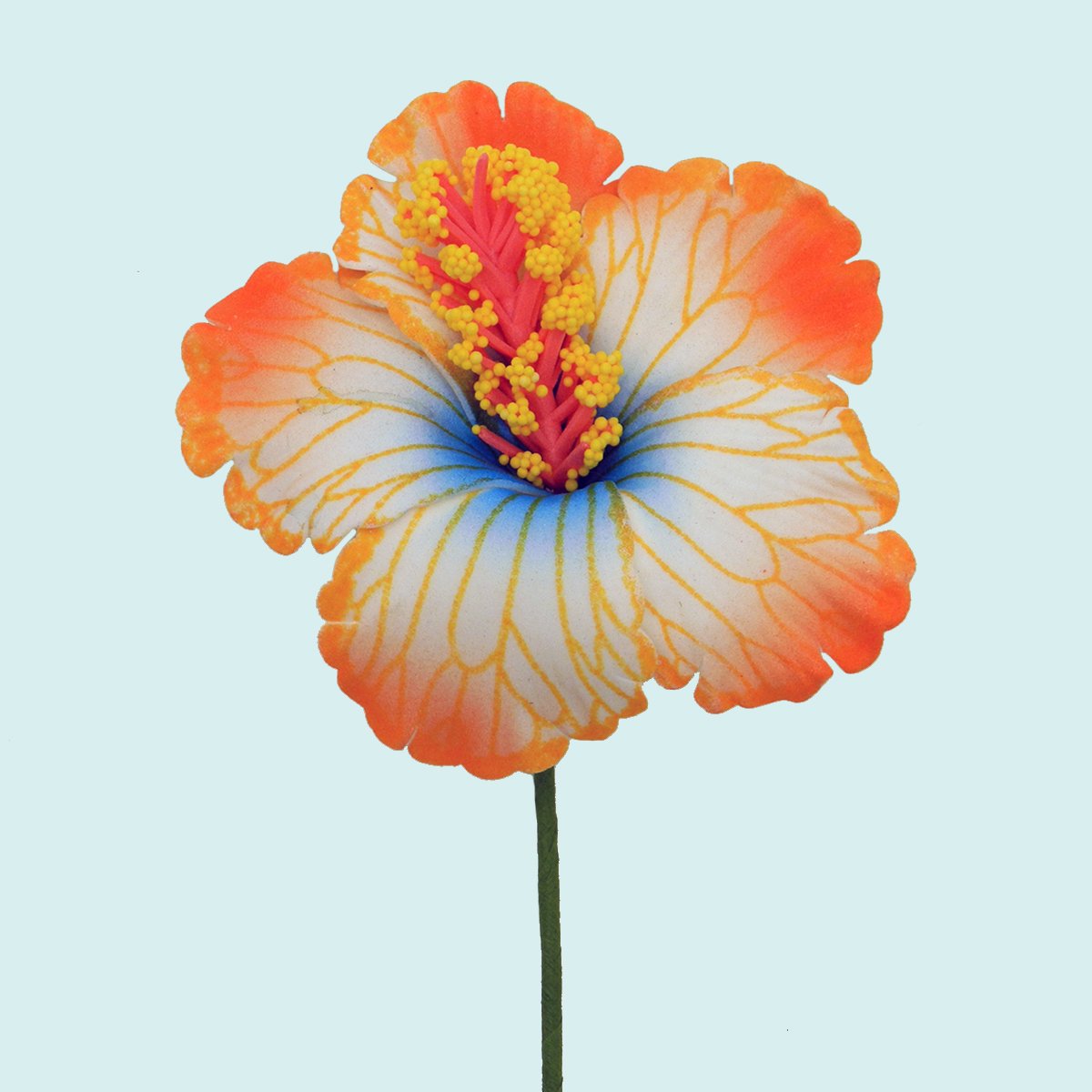 Hibiscus orange et blanc sur tige flexible || FLE013