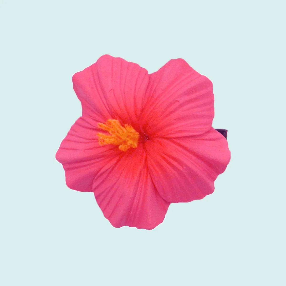 Petit hibiscus rose sur pince || PIN005