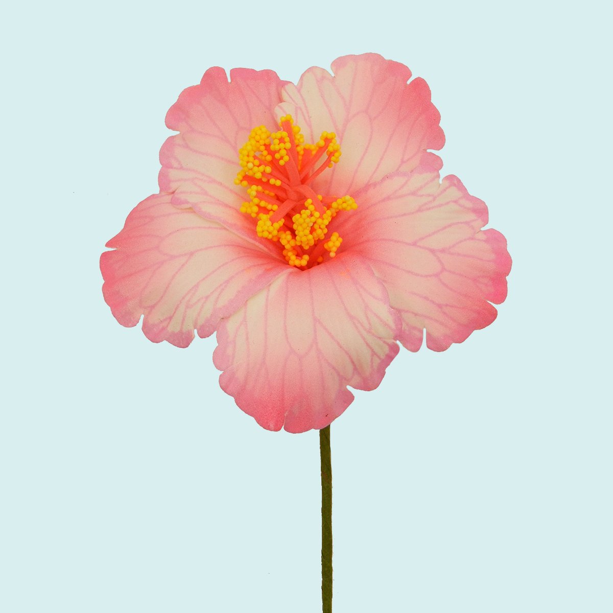 Hibiscus rose et blanc sur tige flexible || FLE014