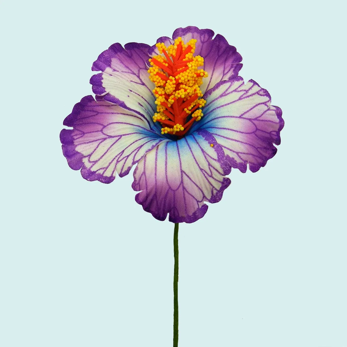 Hibiscus violet et blanc sur tige flexible || FLE012