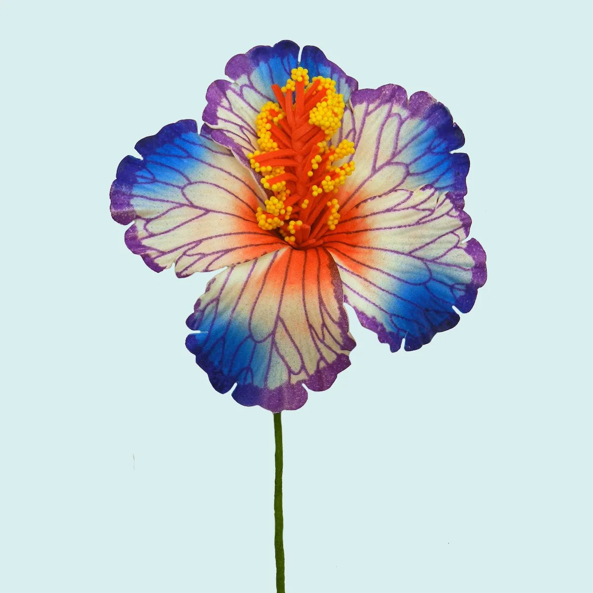 Hibiscus bleu et blanc sur tige flexible || FLE011