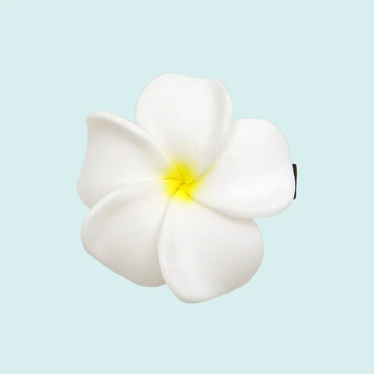 PIN011 - 15€.JPG