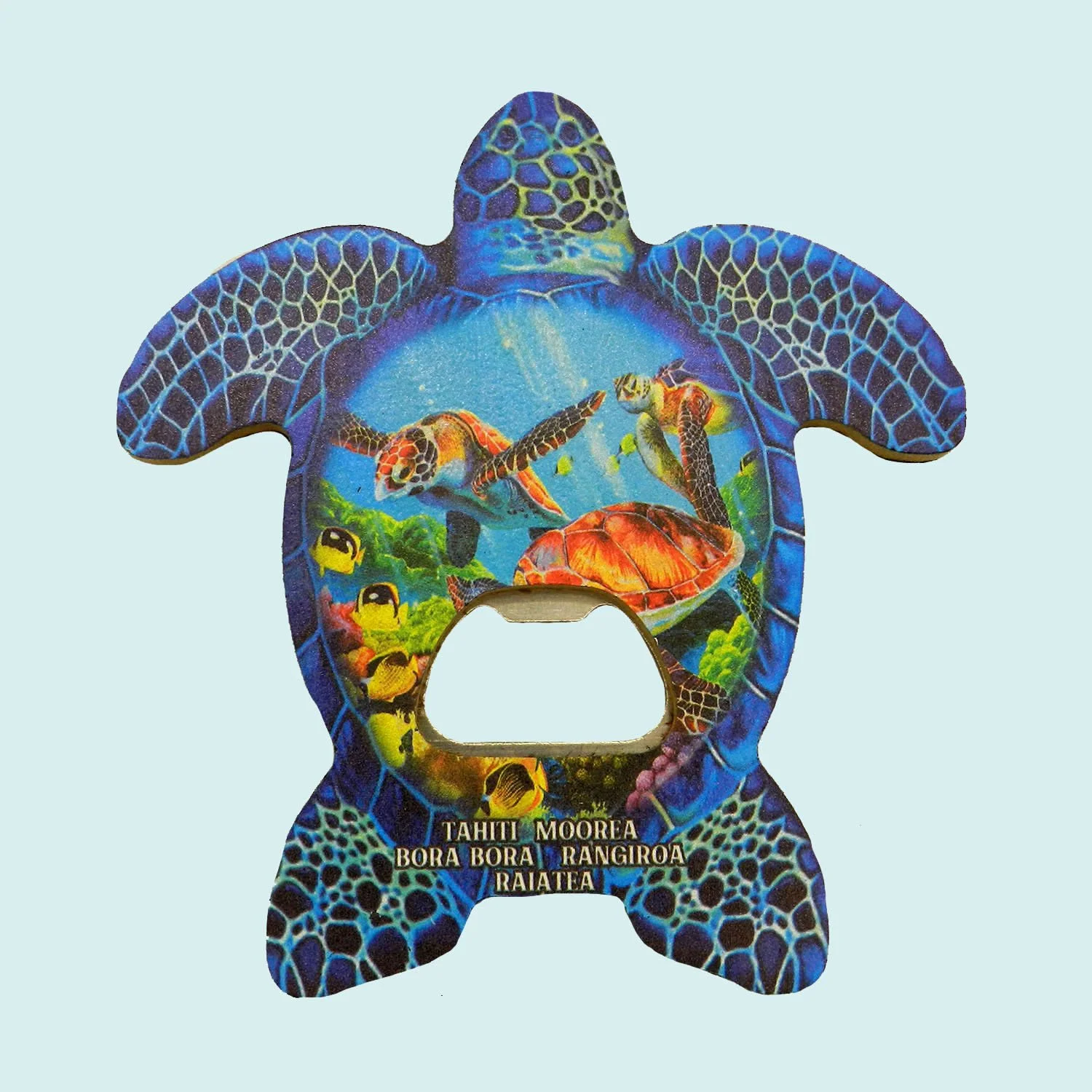 Décapsuleur aimanté tortue bleu || CUM186