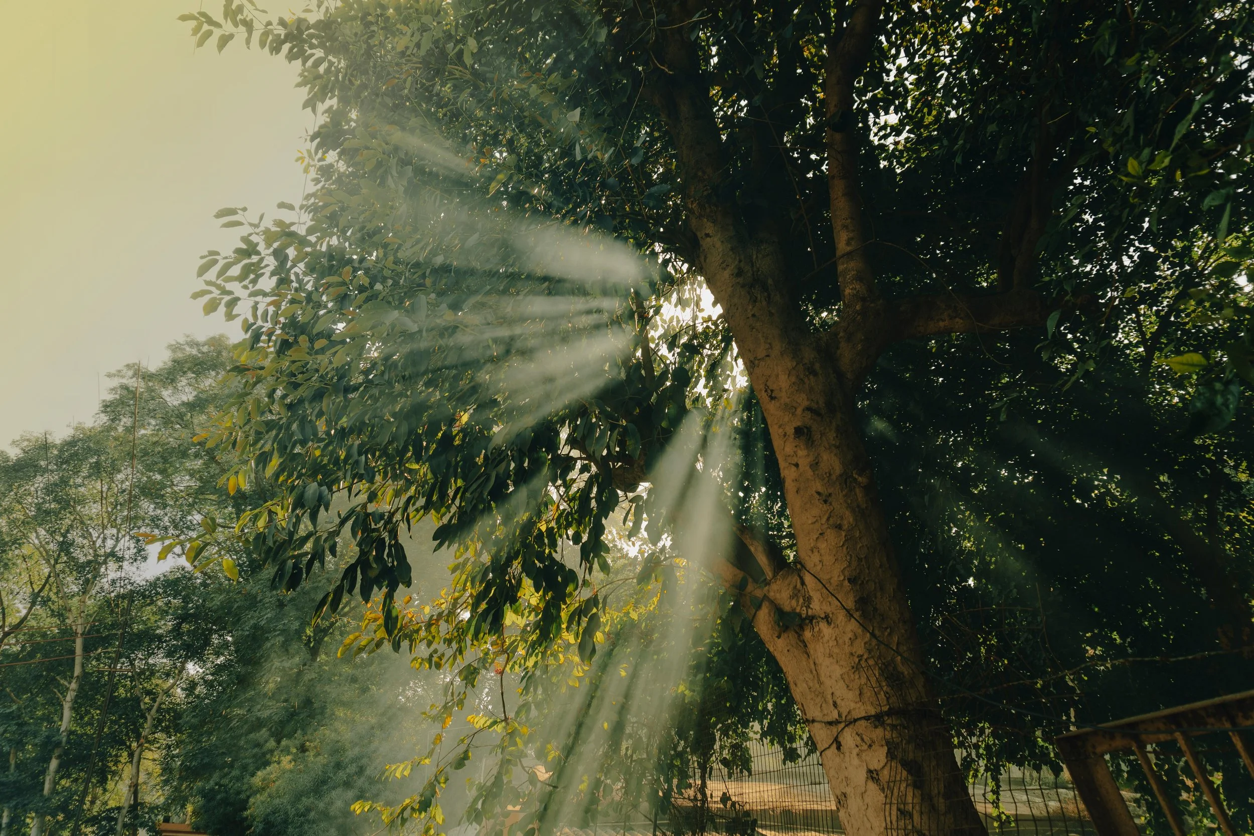 From leadership to ‘eldership’: psychological growth in the second half of career