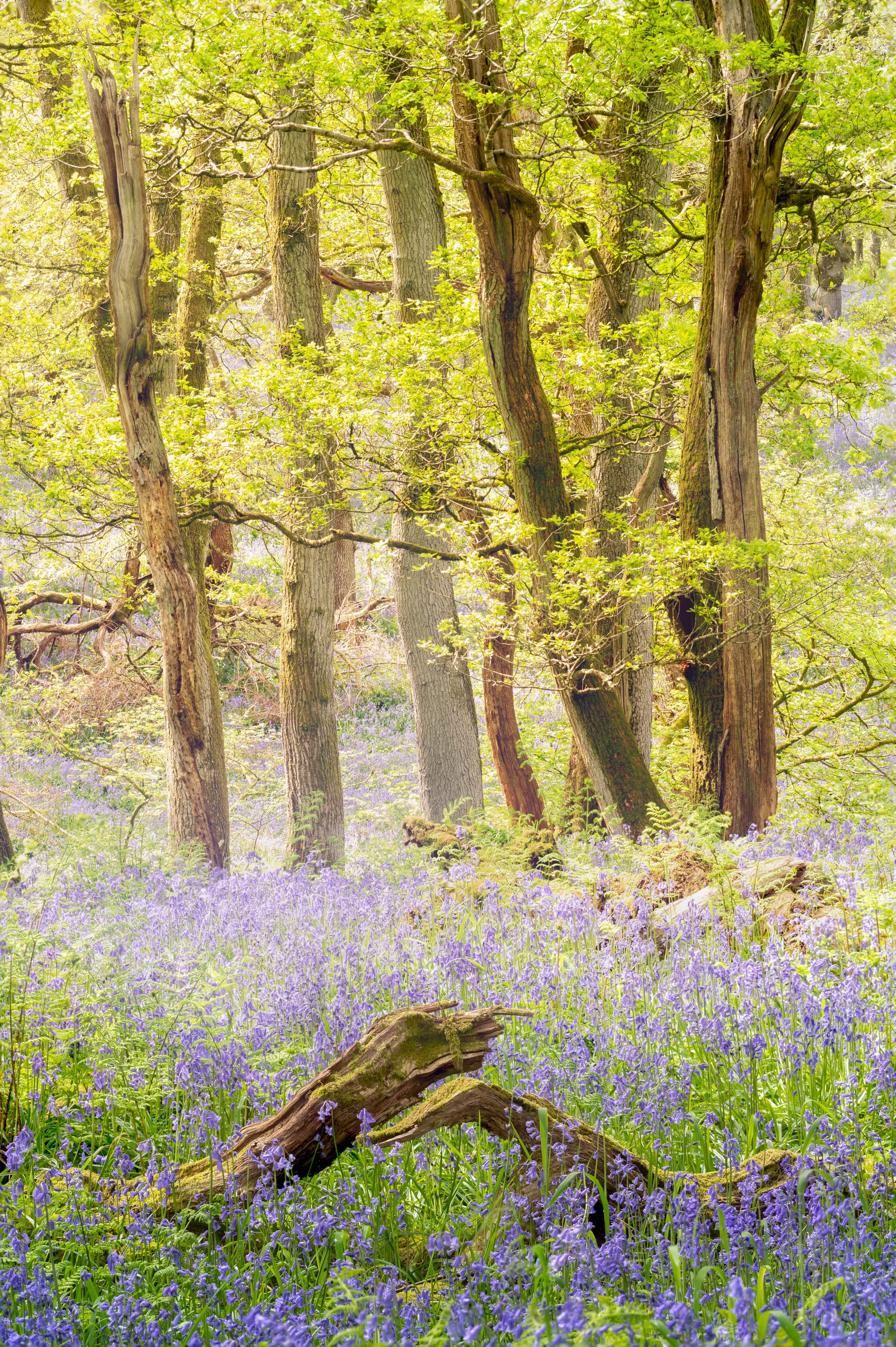7M306391-Edit.jpg