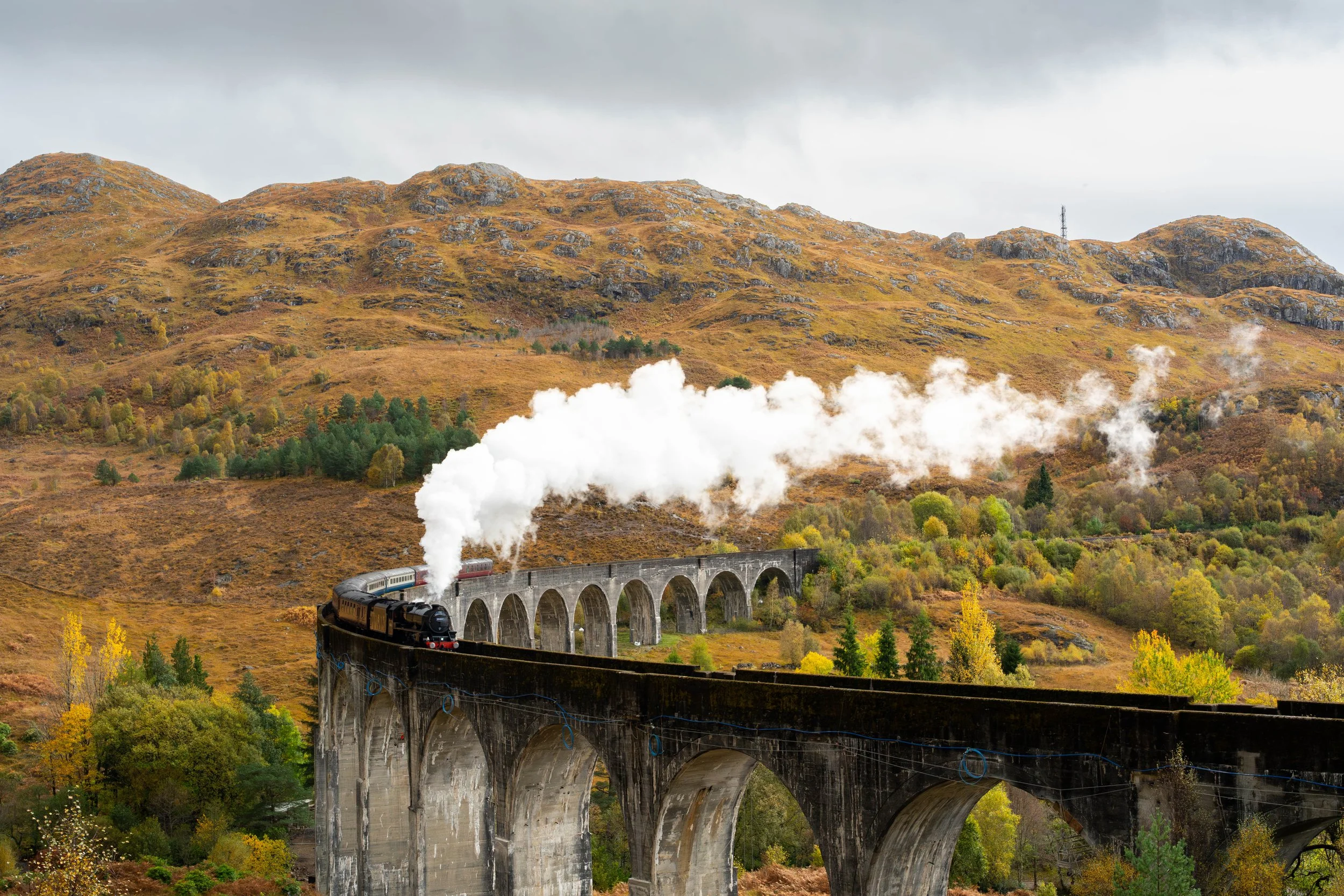 7M307325-Enhanced-NR.jpg