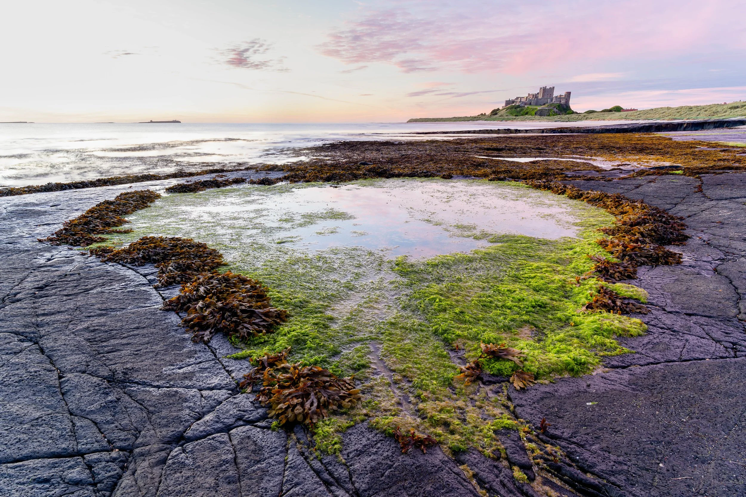 7M306635-Enhanced-NR-Edit-2.jpg