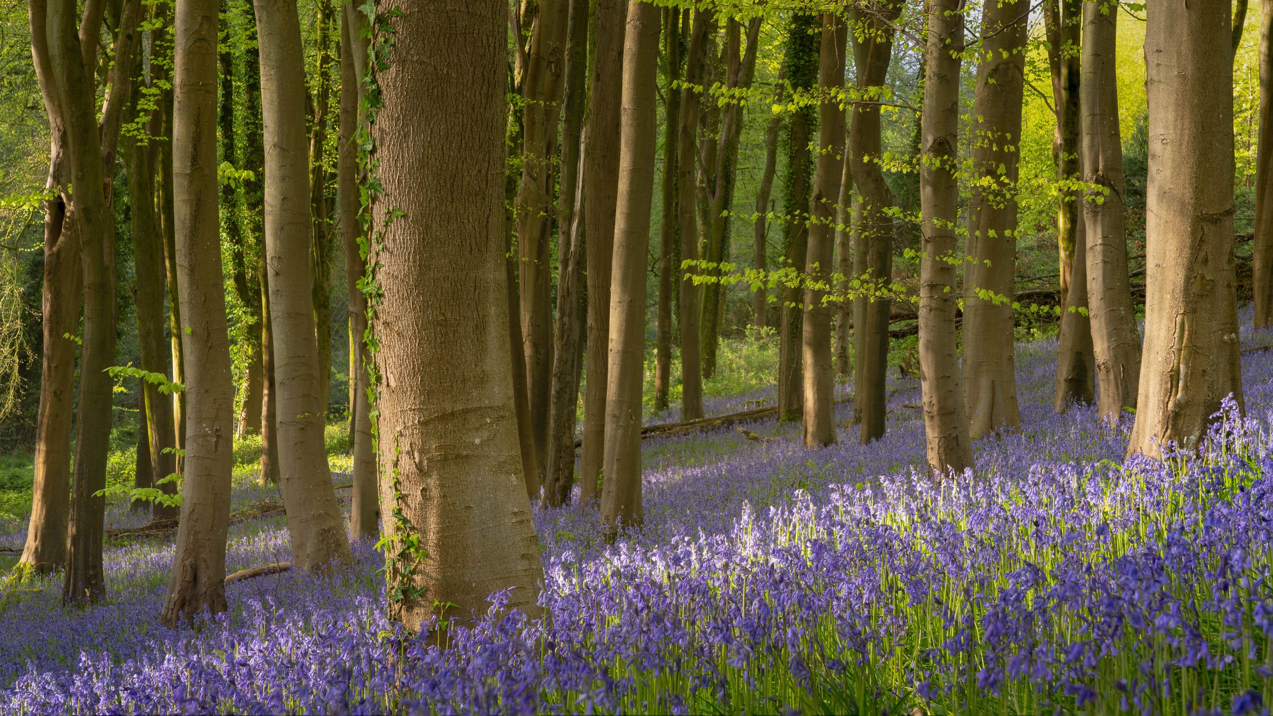 7M308435-Edit.jpg