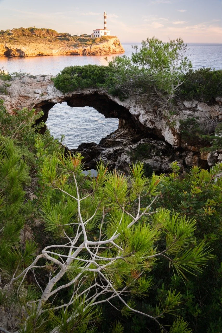 7M301403-Edit Large.jpeg