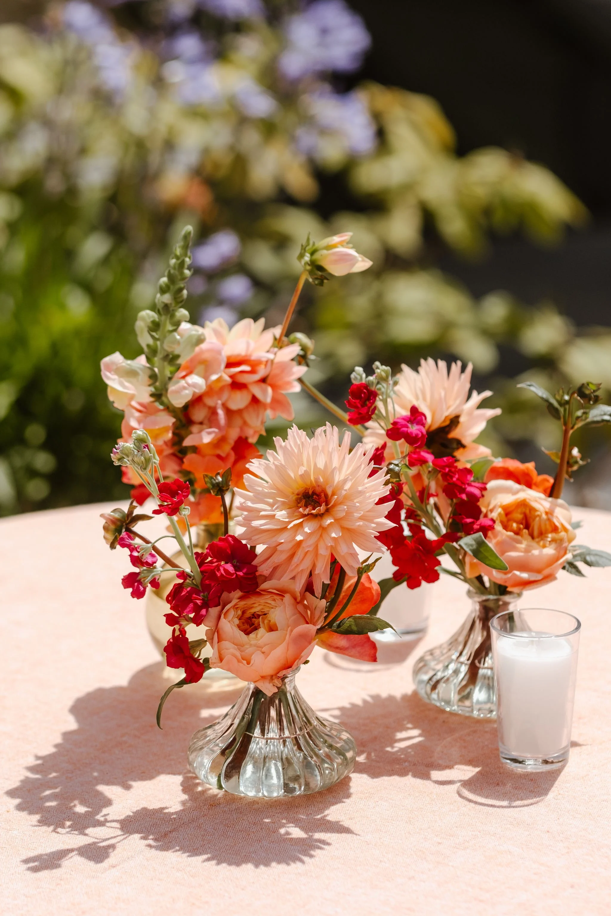 20260720TL_Monique-in-bloom_011.JPG