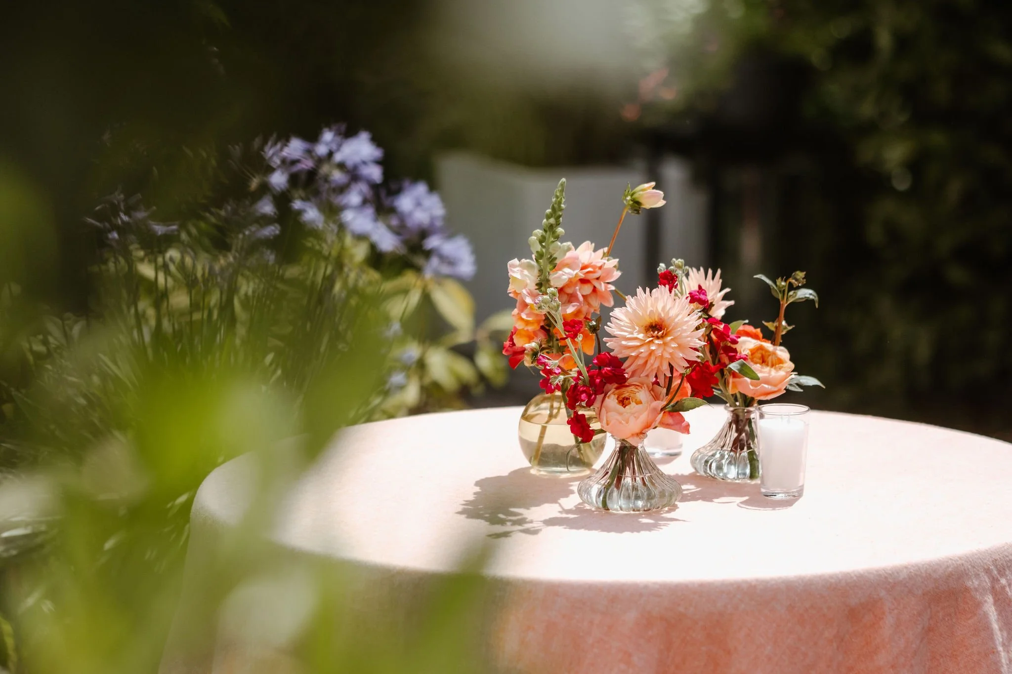 20260720TL_Monique-in-bloom_024.JPG