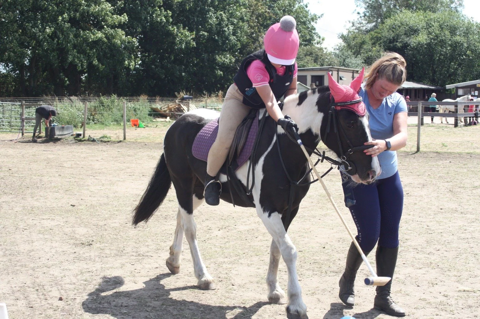 Meet Our Horses — Newark Equestrian