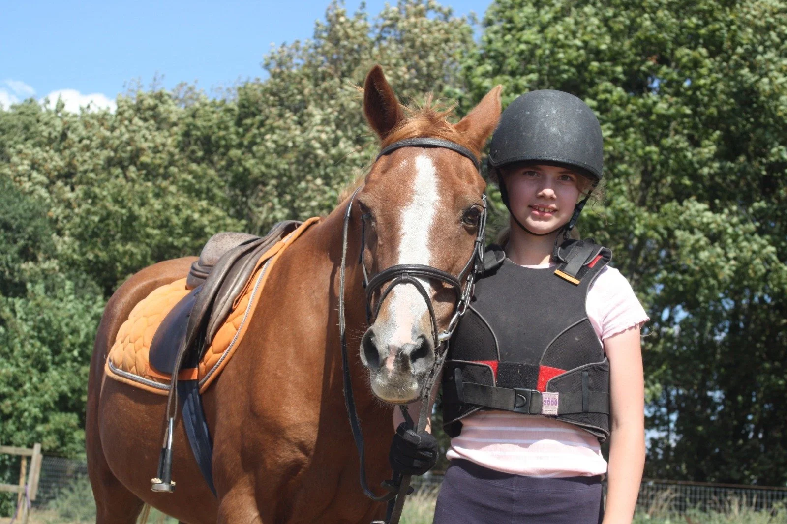 Meet Our Horses — Newark Equestrian