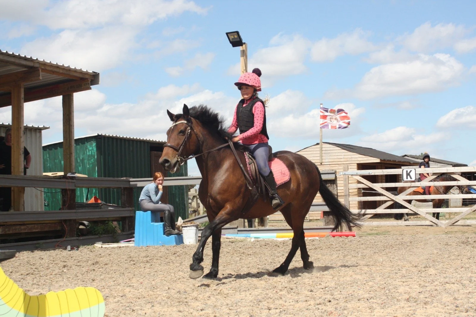 Meet Our Horses — Newark Equestrian