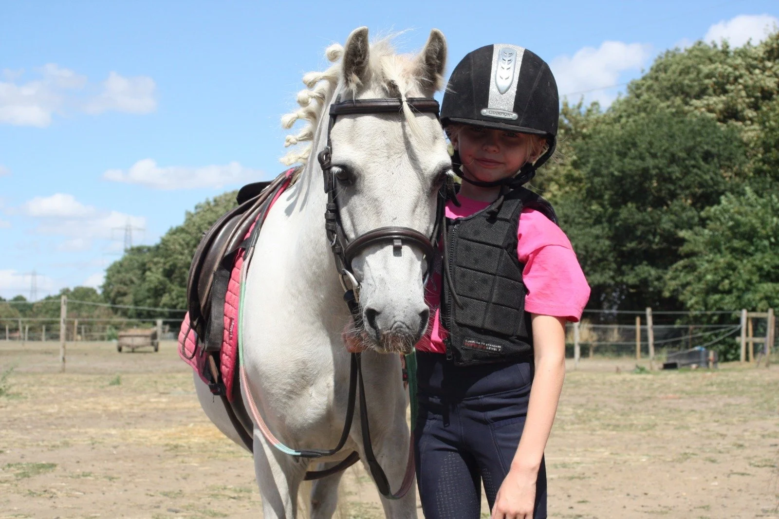 Meet Our Horses — Newark Equestrian