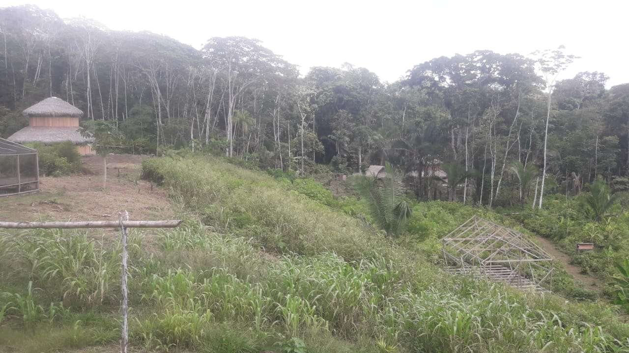 IMG-20211021-WA0052.jpeg