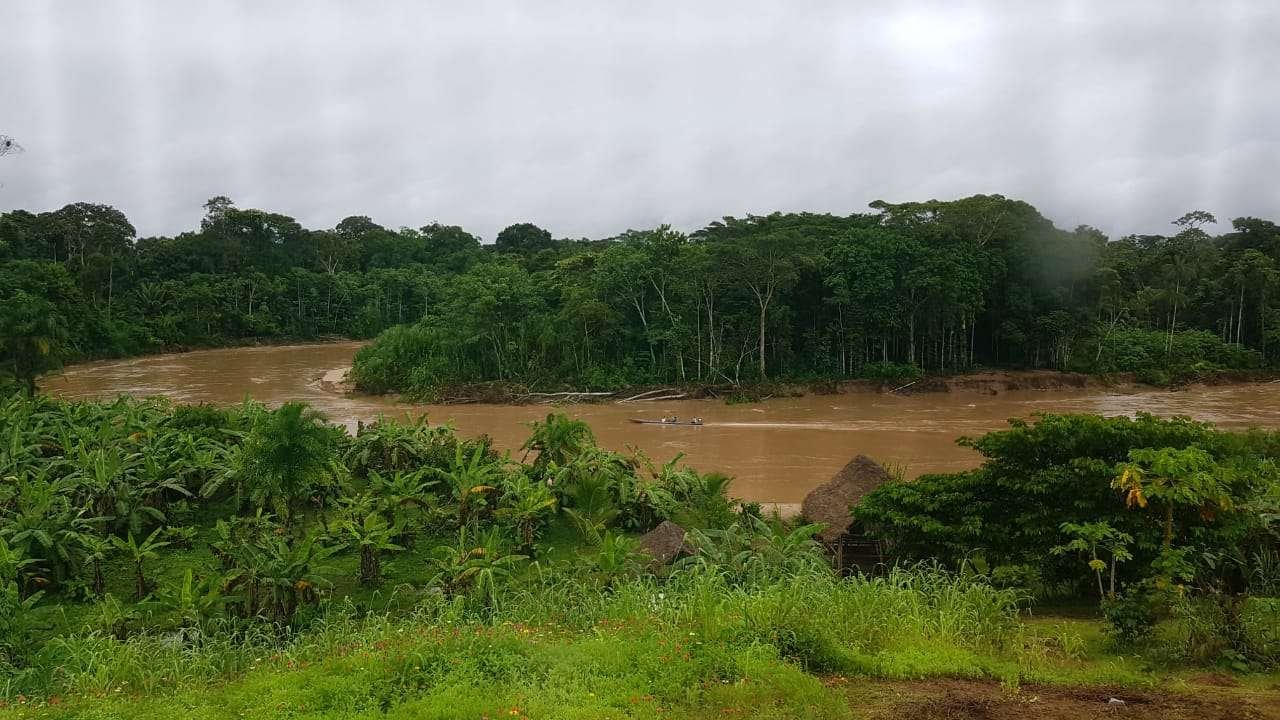 IMG-20220307-WA0014.jpeg