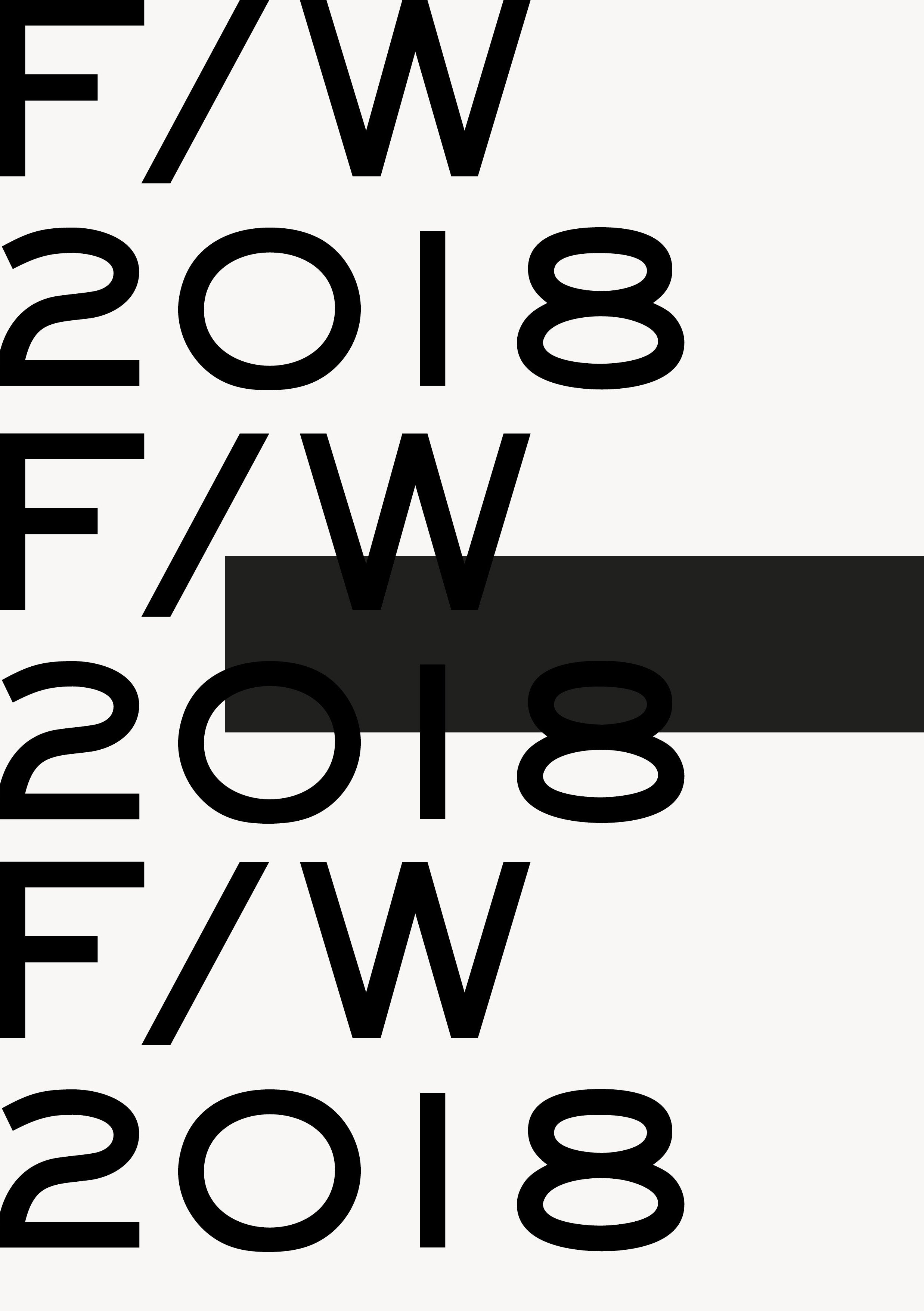 FLY POSTERS7.jpg
