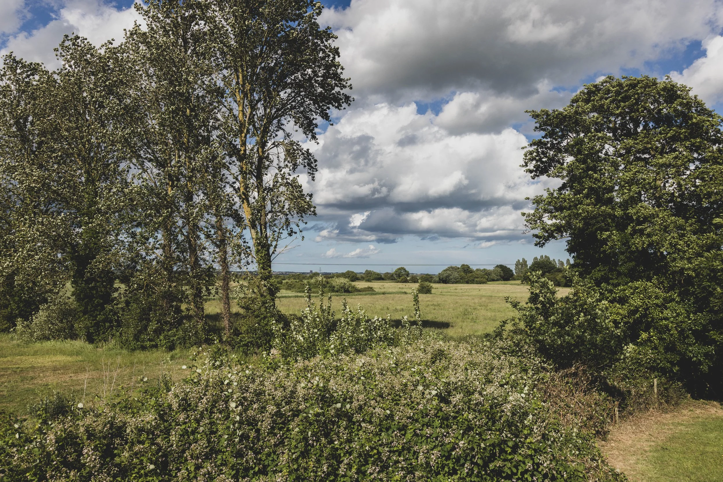 Scenic landscape with trees, open fields, and a cloudy sky.