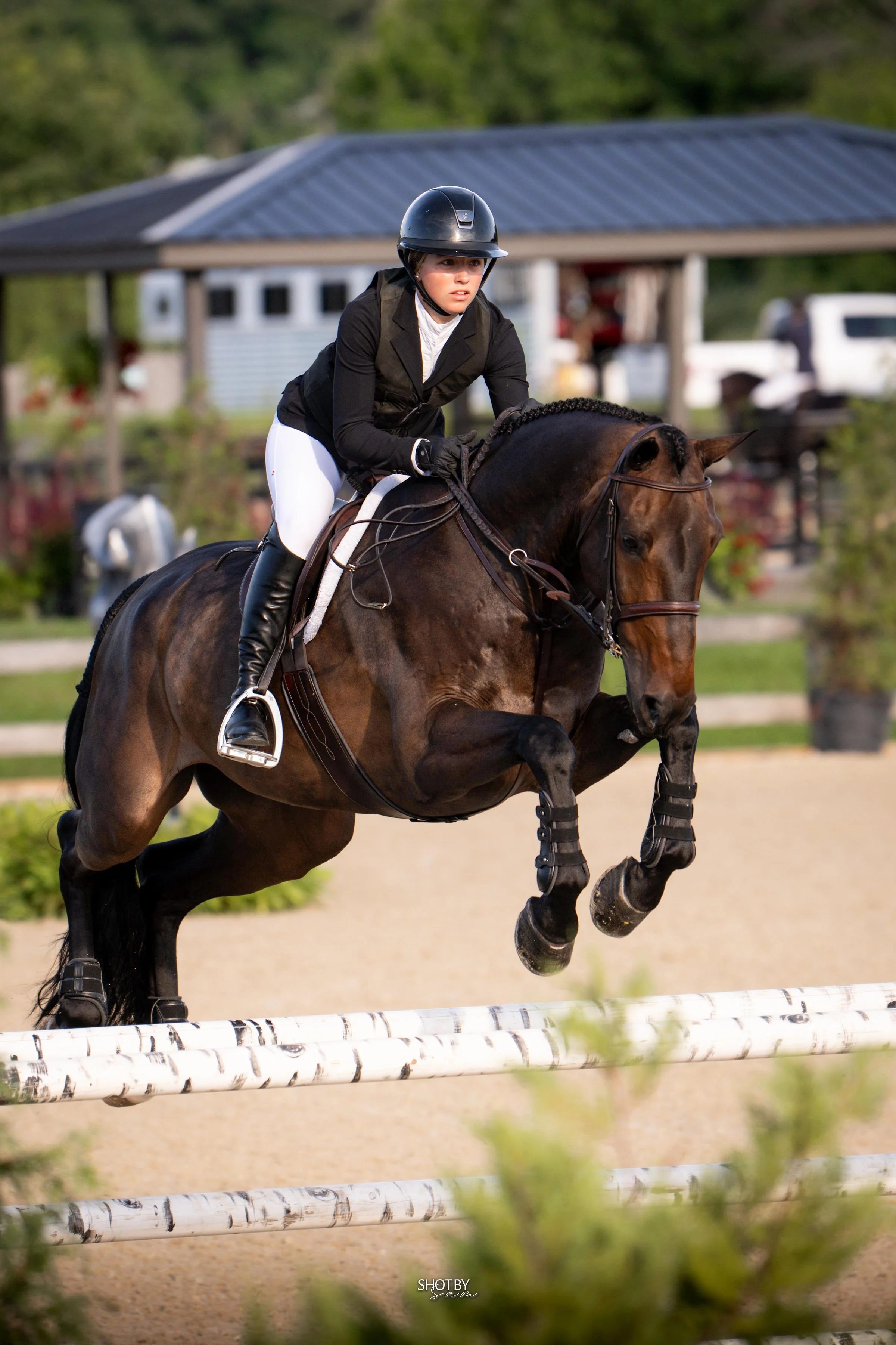 A female equestrian rider in black riding jacket, white riding breeches, and black helmet jumping over a white hurdle on a brown horse with braided mane during a show jumping event.