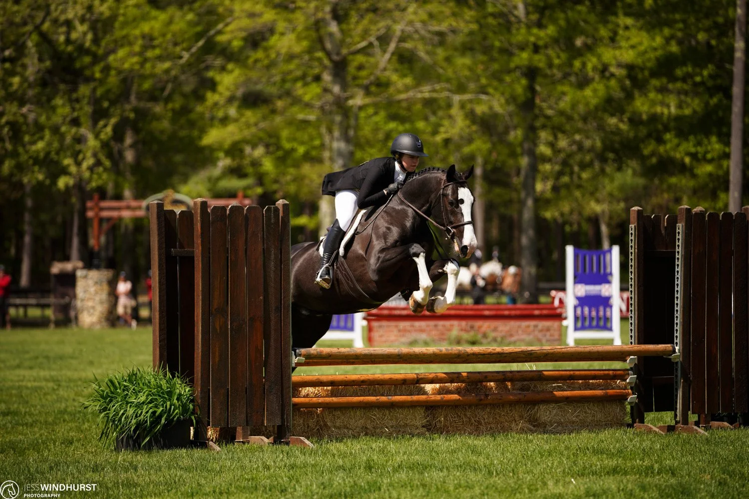 Stony Lane rider Zoe Grutkowski showing Cheryl Amaral's sales horse Sirocco at Fieldstone Show Park